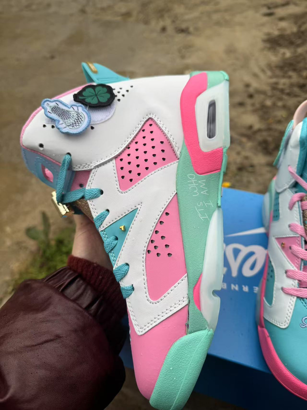Air Jordan 6 Retro Blue-Pink