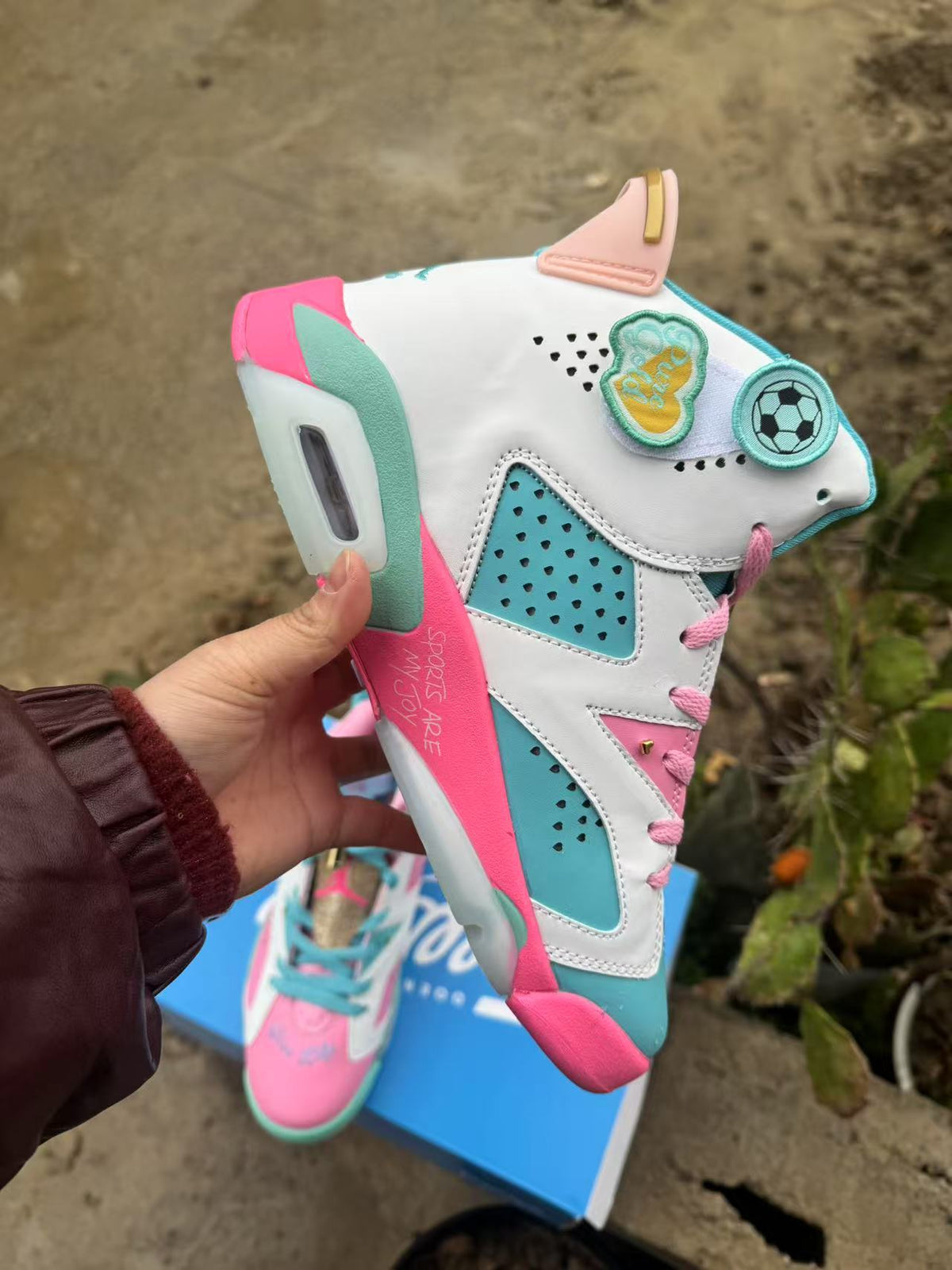 Air Jordan 6 Retro Blue-Pink